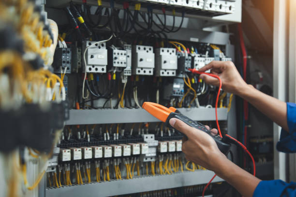 Best Electric Panel Repair  in Round Lake Heights, IL